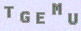 manual verify